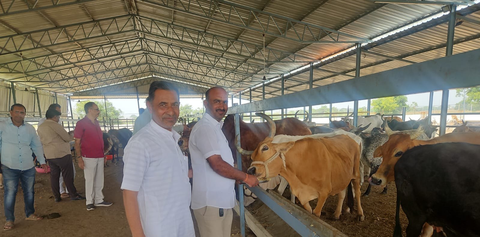 Devotees visiting the cow shelter