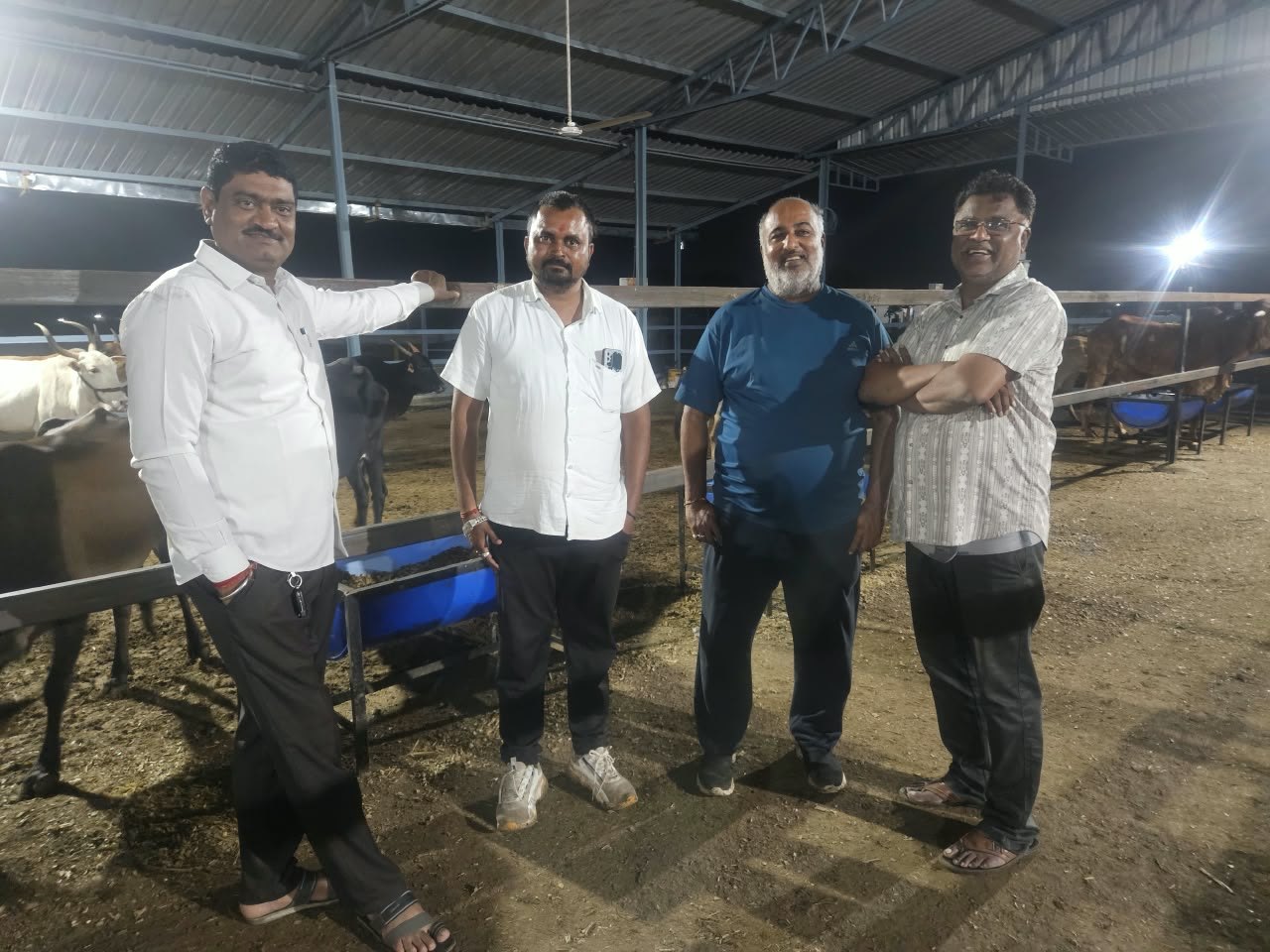Volunteers at the goshala