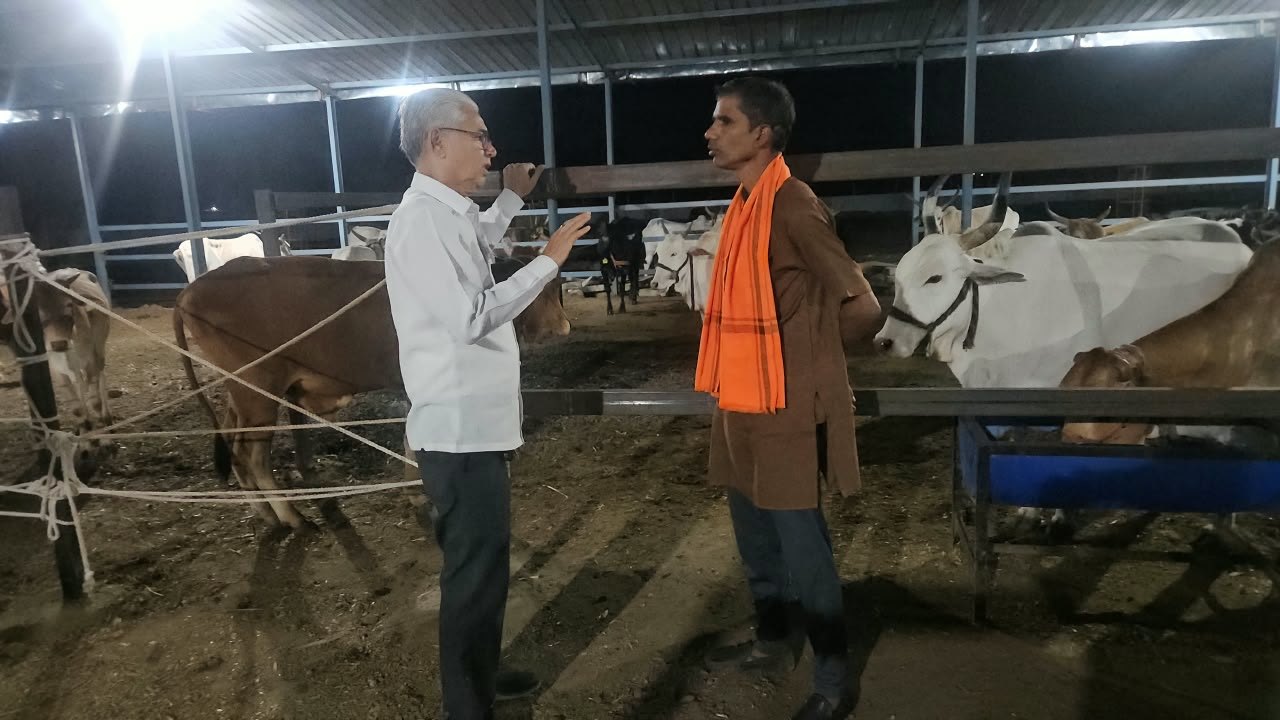Discussing care of the cows