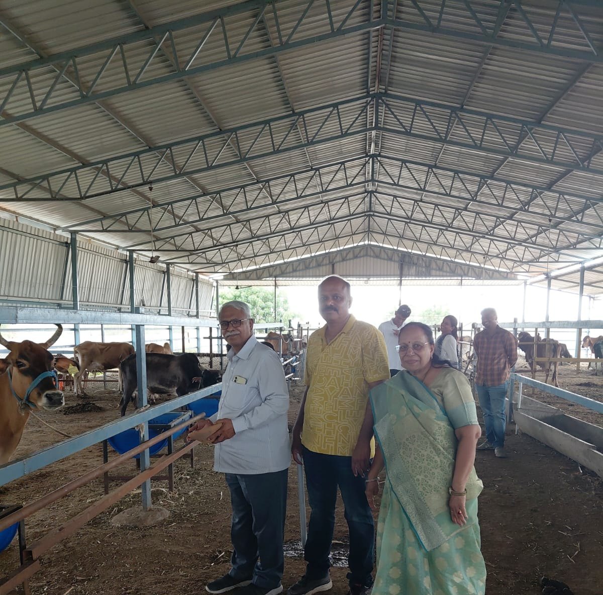 Visitors at the goshala shelter